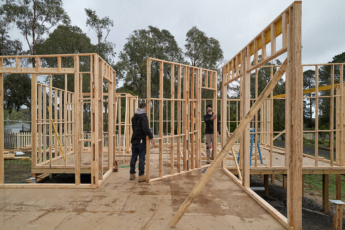 Builders constructing timber frames of new home