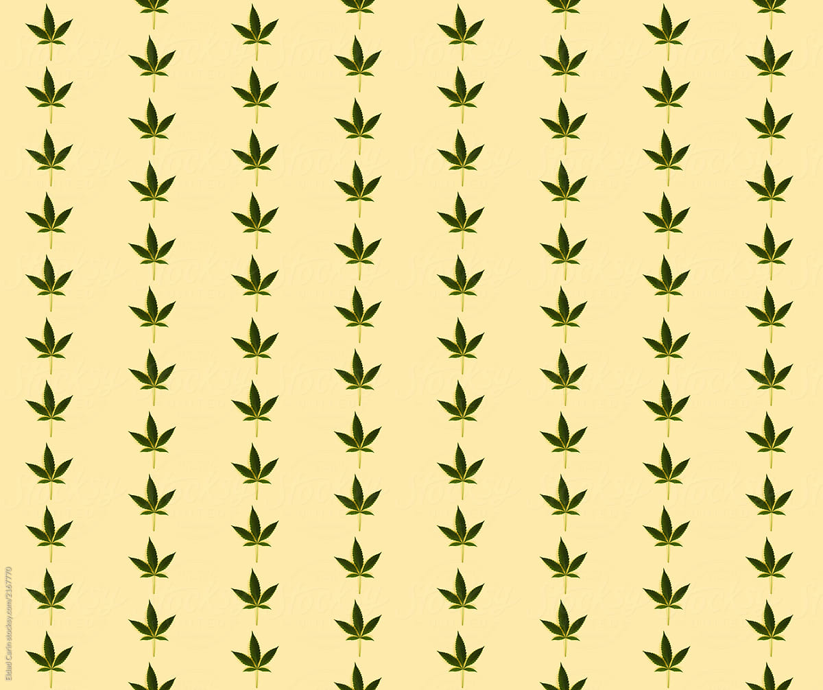 Cannabis Leaf Pattern on Yellow