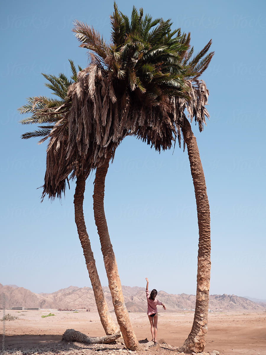 Woman under palm tree on sunny day
