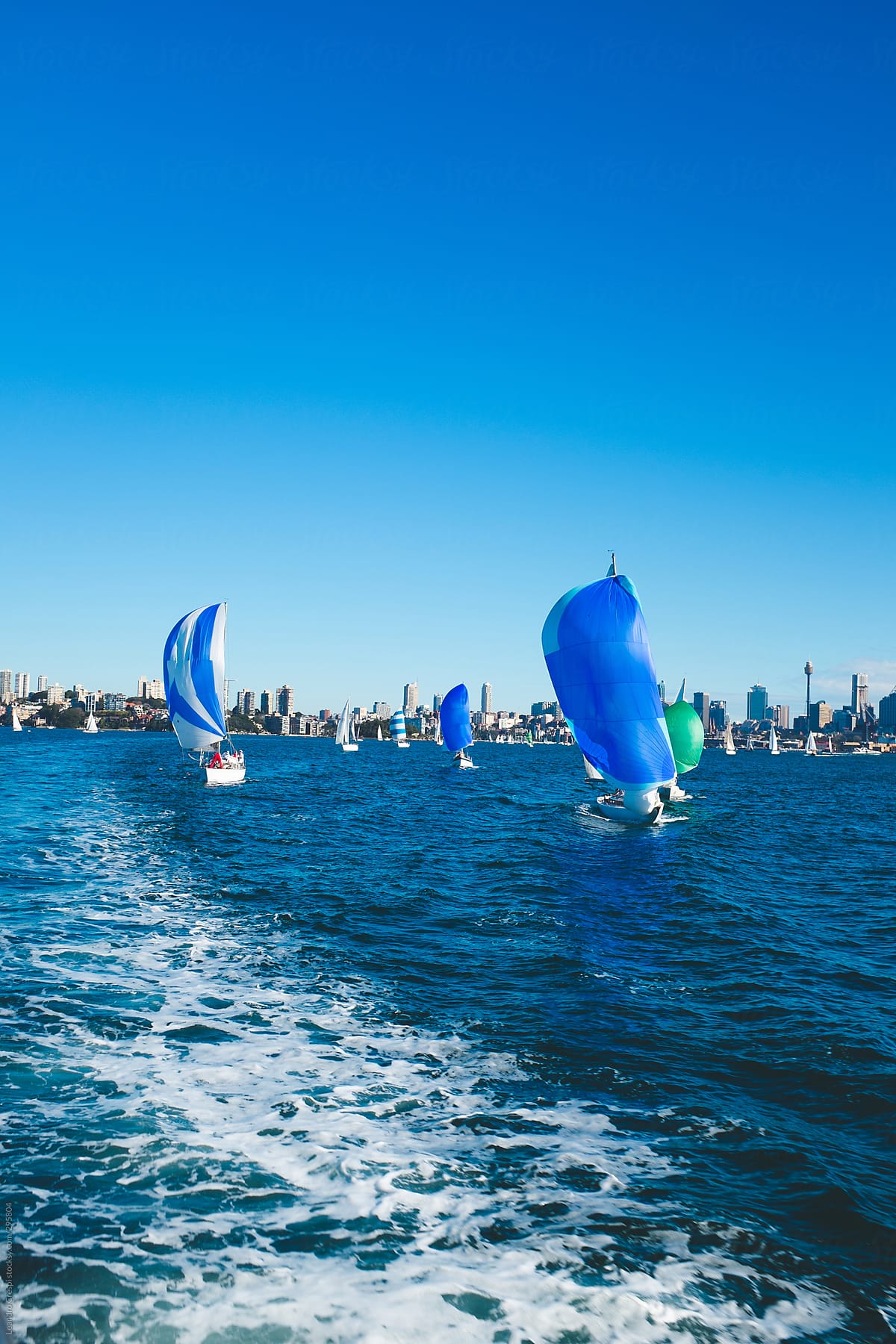 "Sydney Sailboat Regatta" by Stocksy Contributor "Ohlamour Studio