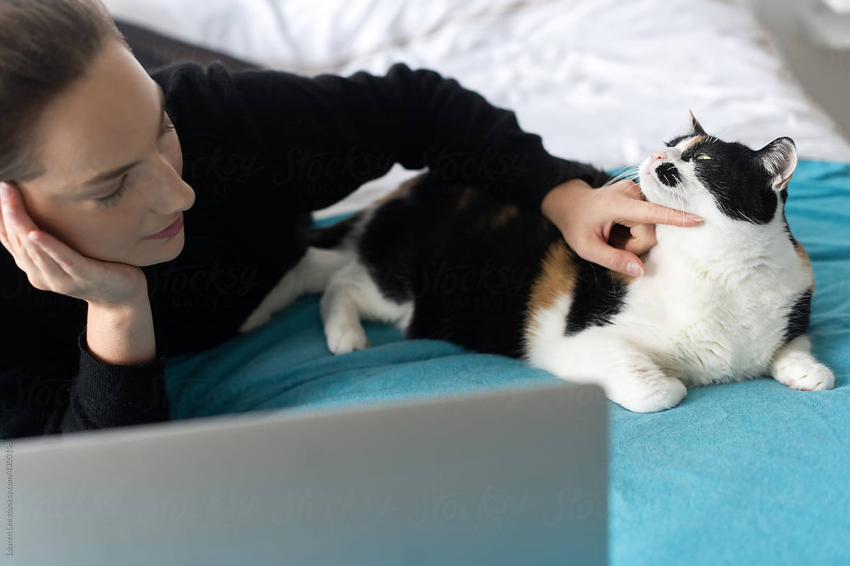 Woman relaxing with laptop and cat
