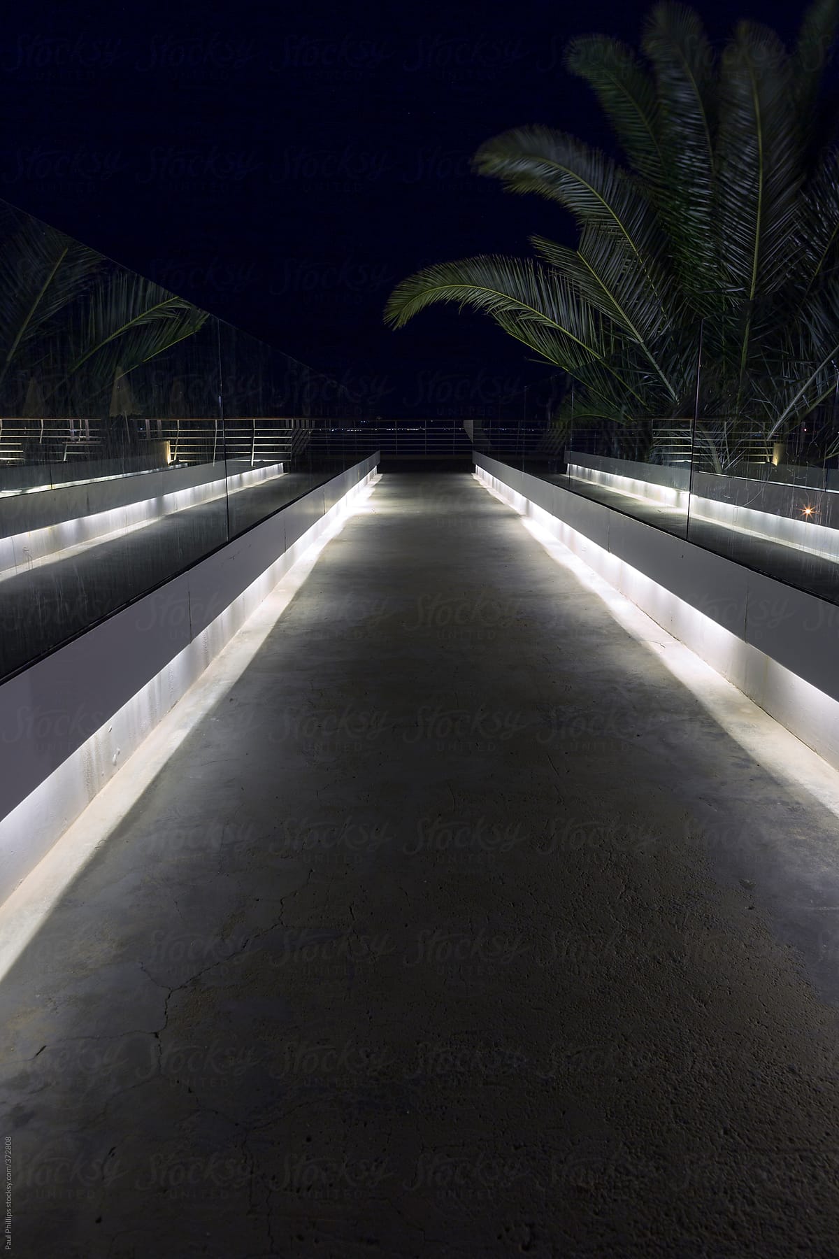 Illuminated walkway at night tapering off towards the end. Glass barrier on either side