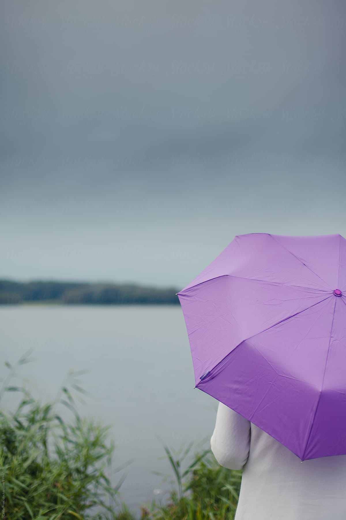 Woman holding a purple umbrella in the rain overlooking a lake