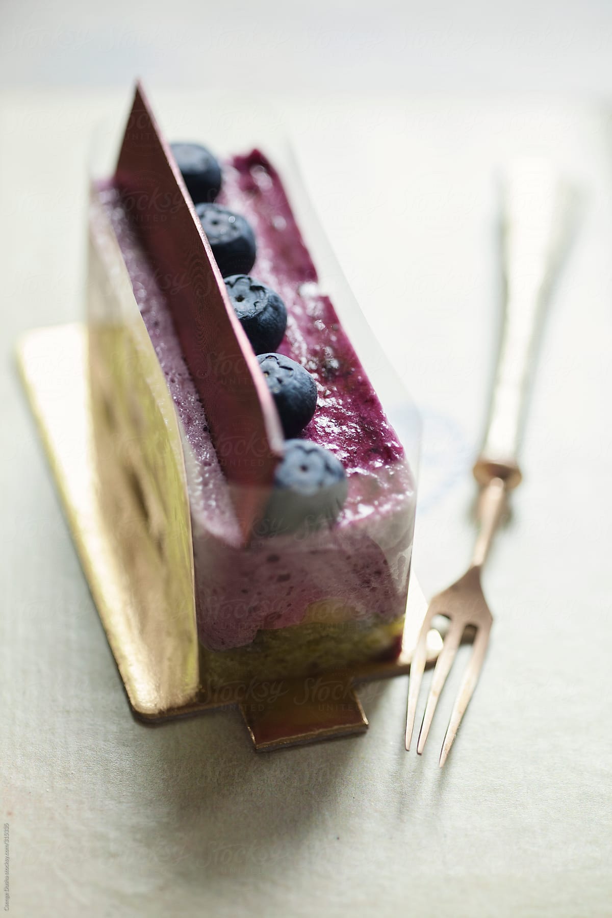 Closeup photo of Blueberry Slice