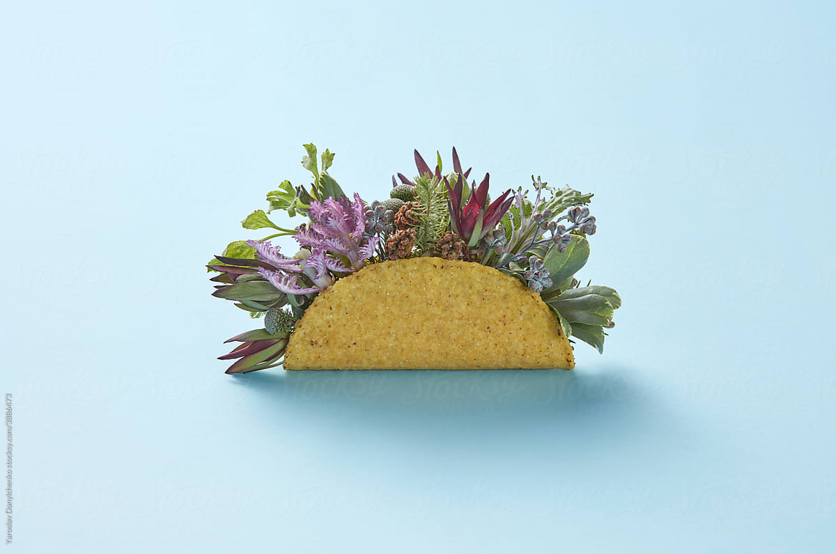 Taco with flowers on blue background
