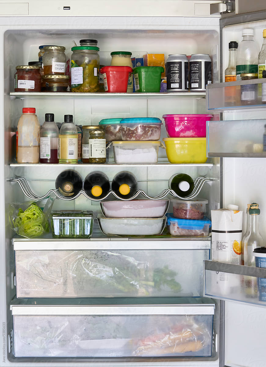 Fridge Contents and Items