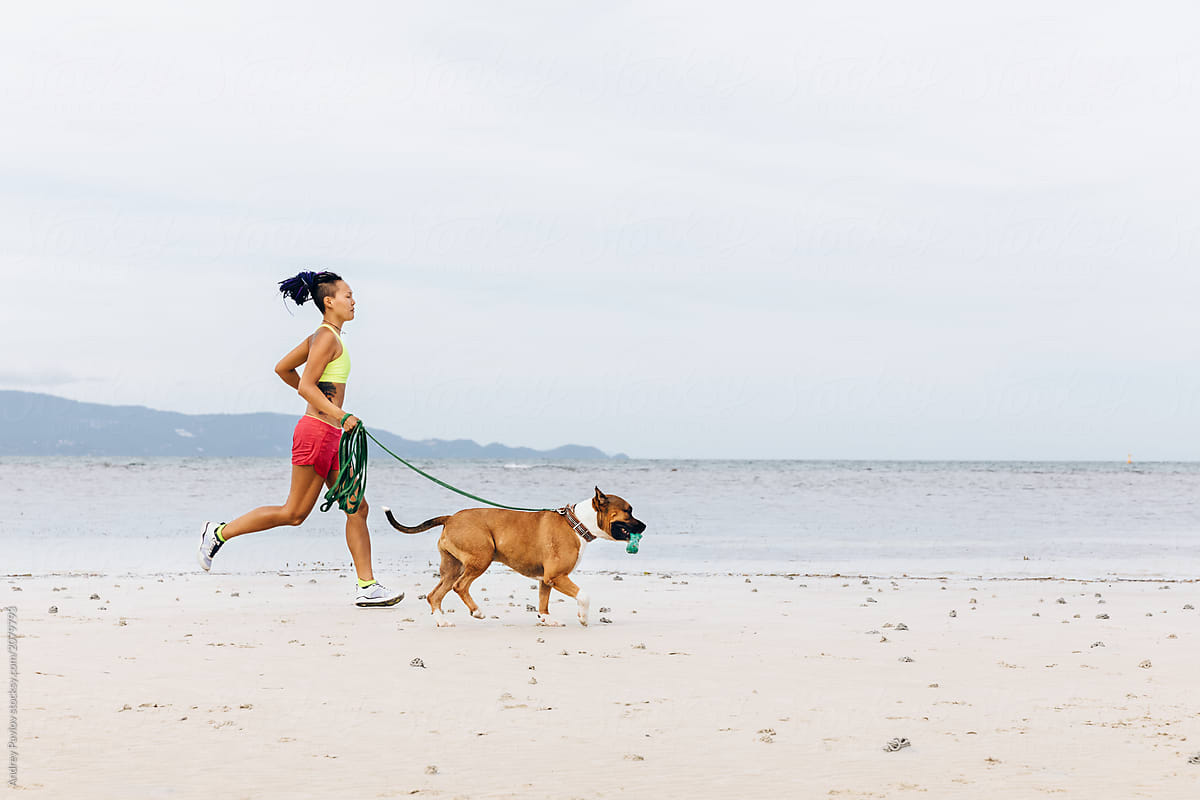 Fitness with a dog on the beach