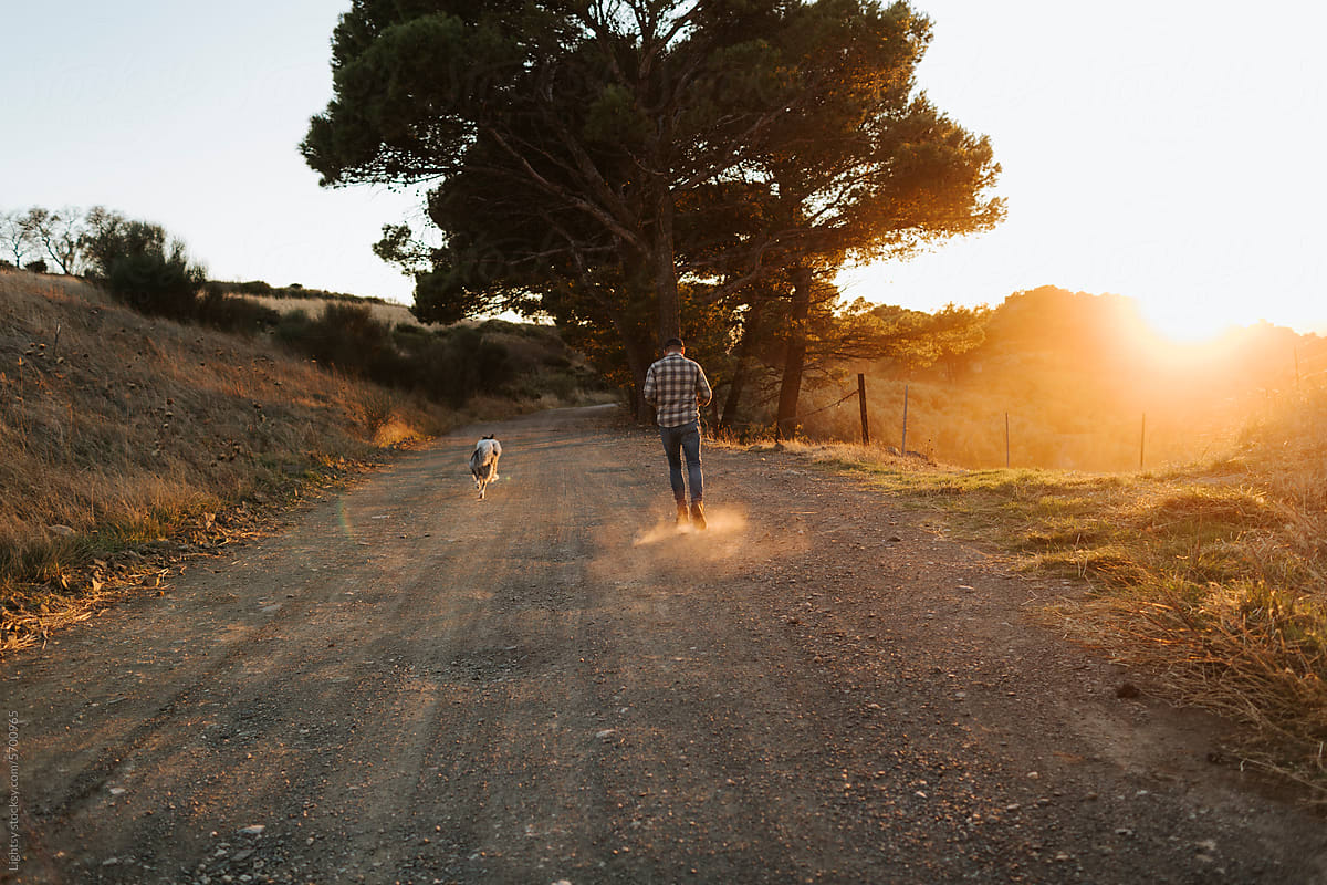 A man playing with a dog at sunset