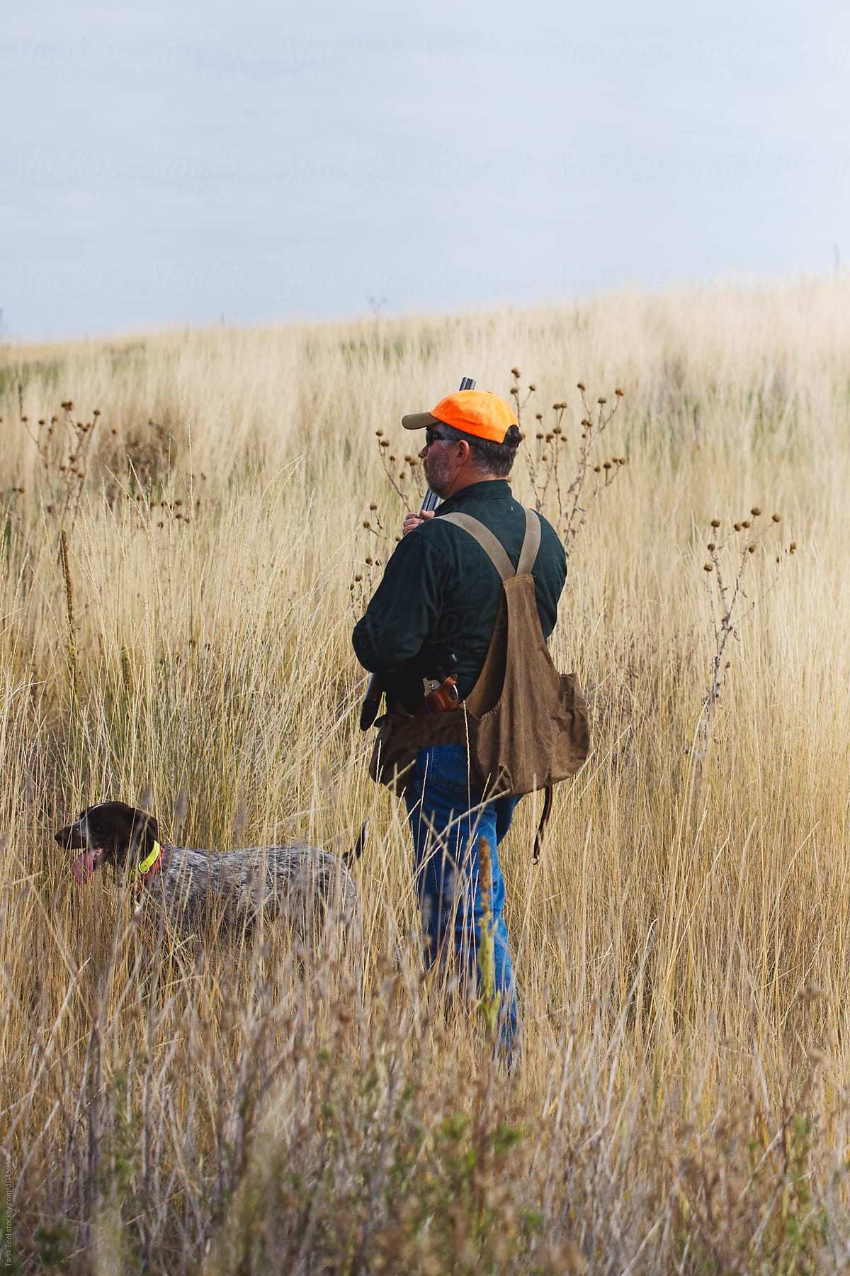 A hunter with his dog searching for fowl in a grassy field