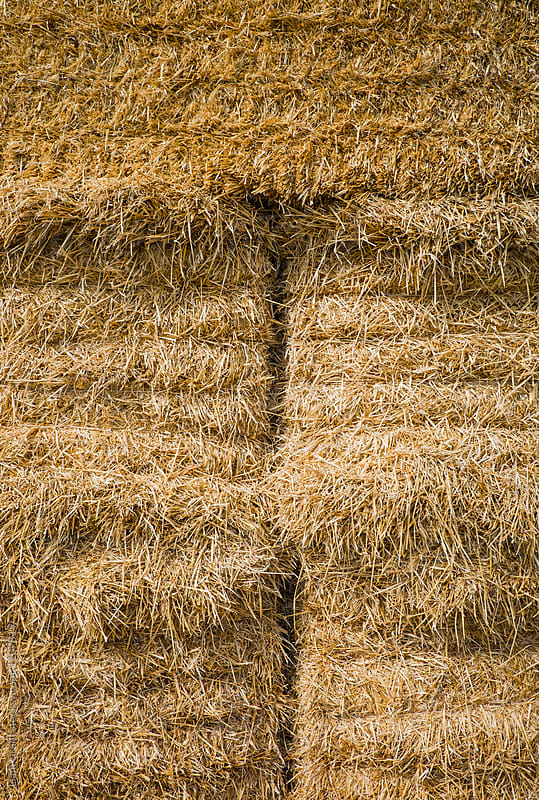 Straw bales stacked in a recently harvested field. Norfolk, UK.