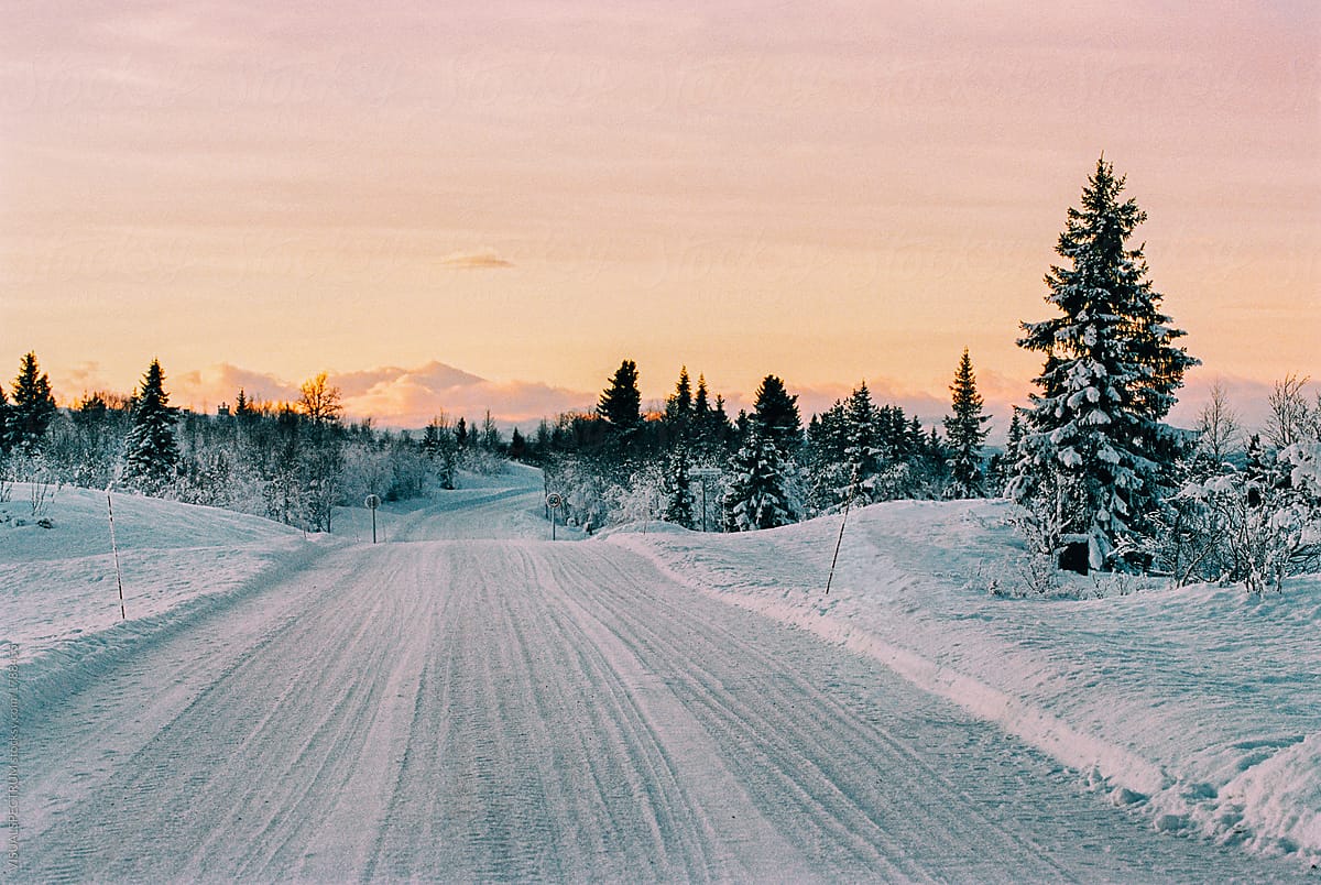 Scandinavian Winter Landscape in Warm Evening Sunlight Shot on Film