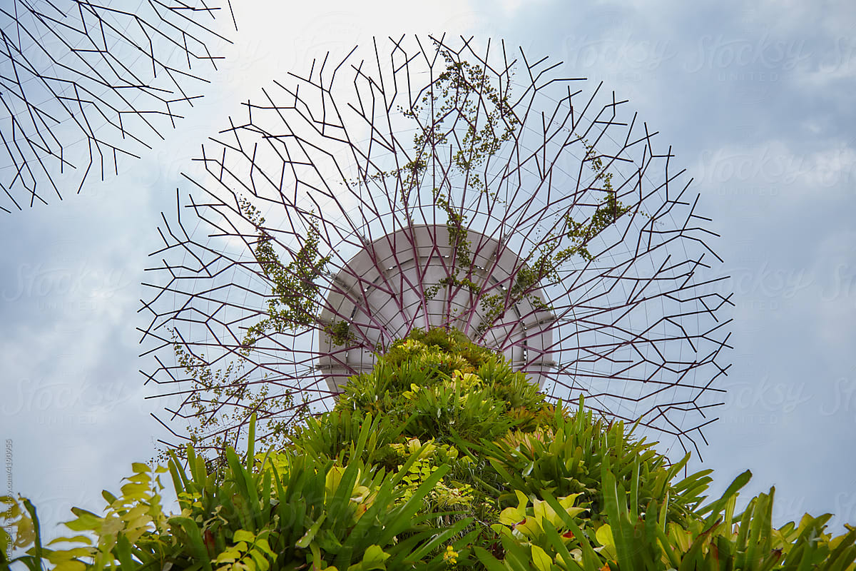 Singapore vertical gardens, eco friendly urban environment