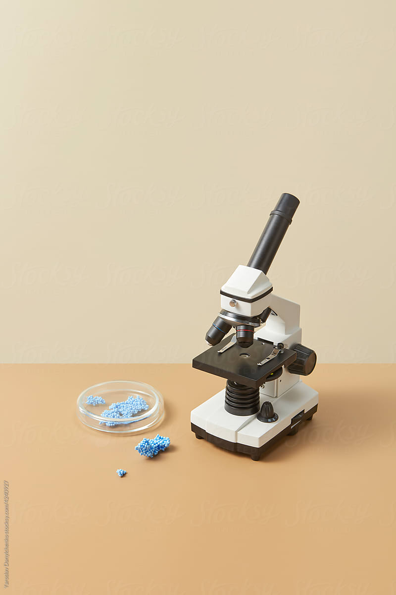 Microscope and petri dish with sells