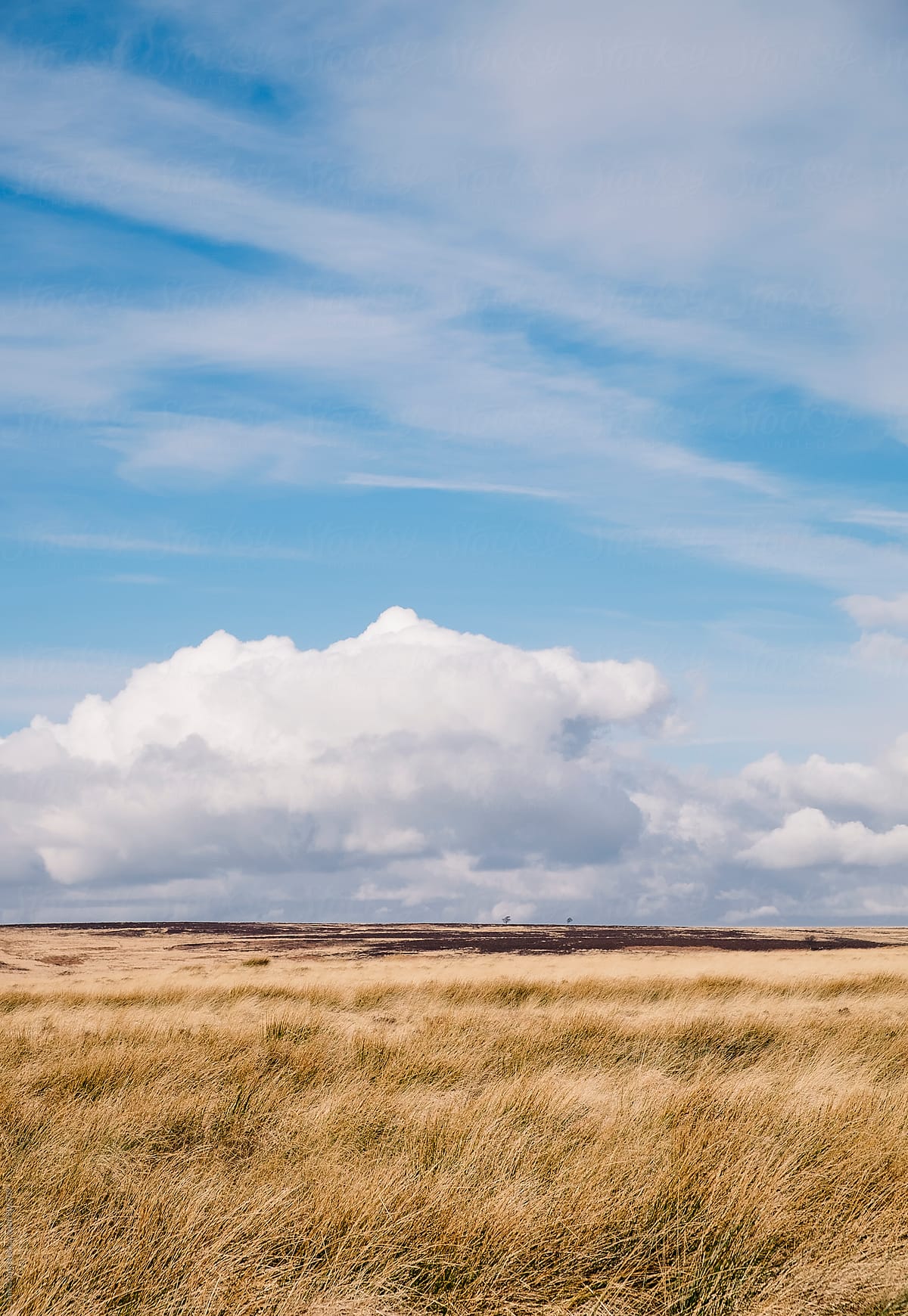 Blue sky and white clouds above sunlit moorland. Derbyshire, UK.