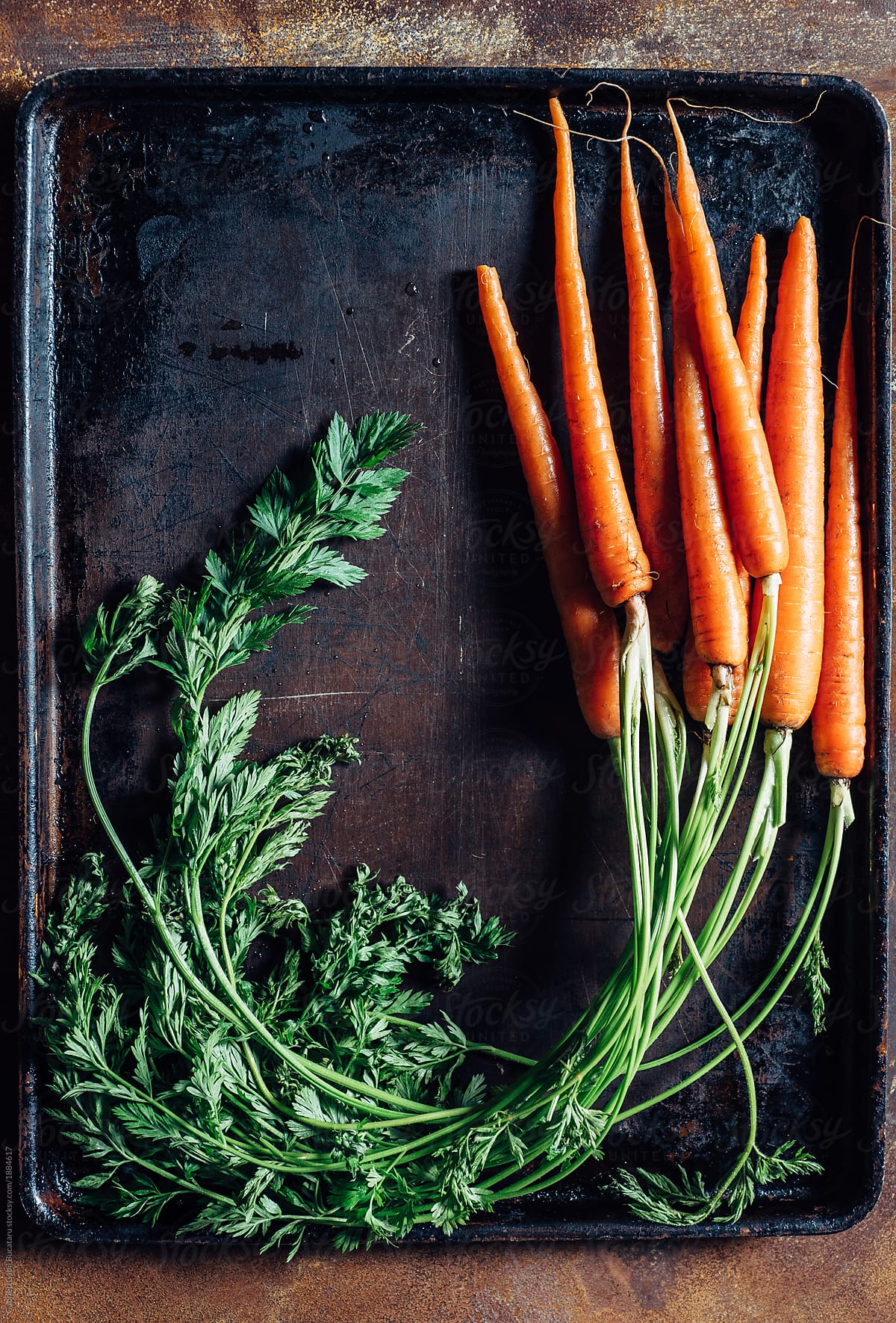 Bundle of fresh carrots in a tray