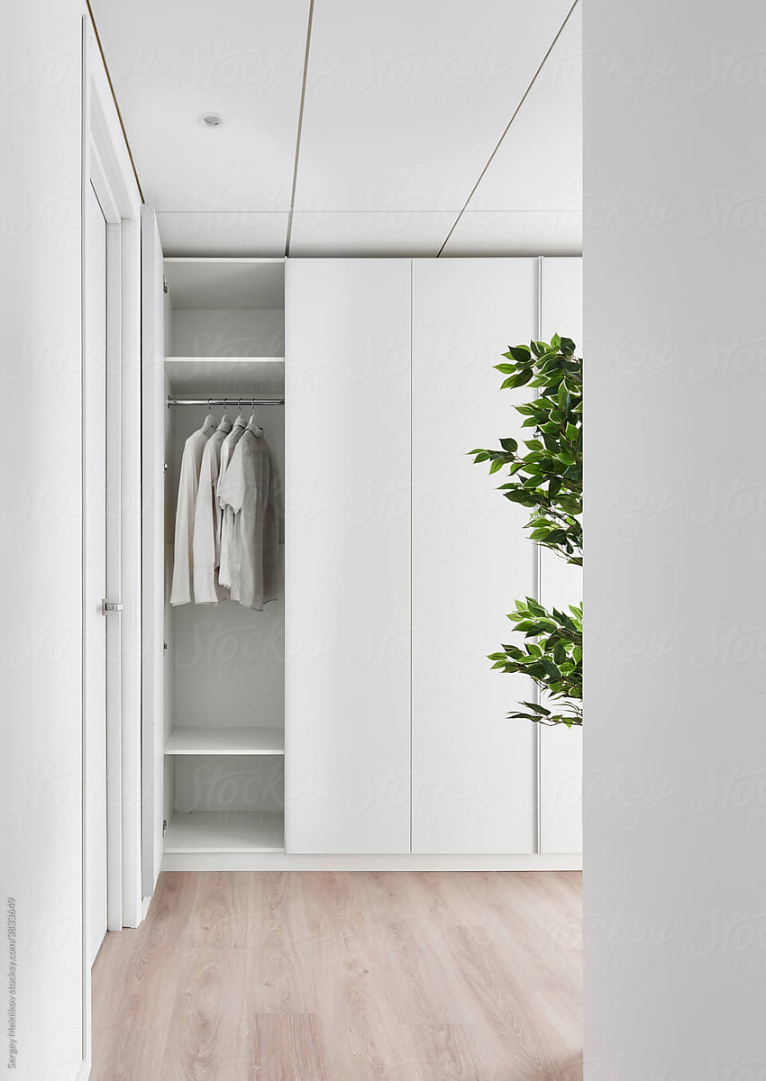 Wardrobe with clothes in light room