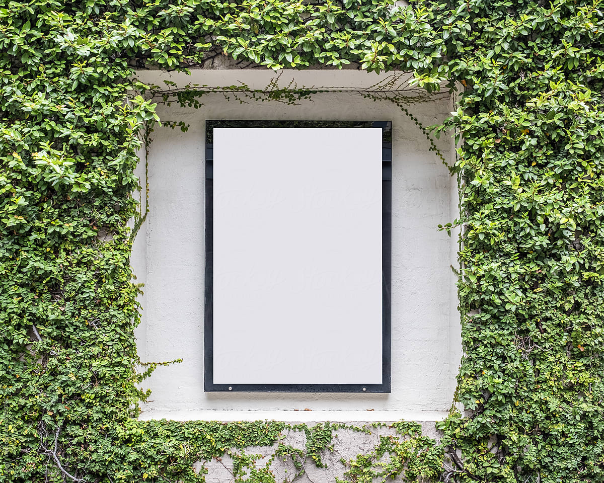 ivy wall frame for poster