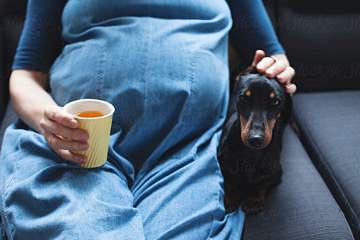 38 week pregnant women relaxing on sofa with her pet dachshund