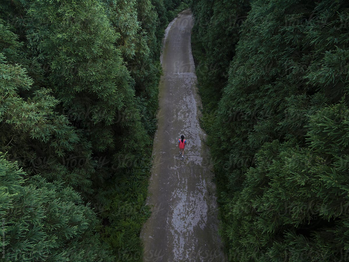 aerial view of one woman walking in the small road in the pine t