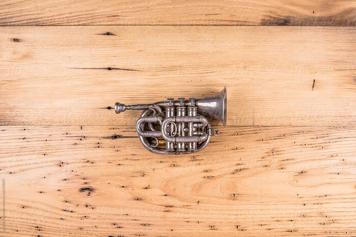 Antique Pocket Trumpet Musical Horn
