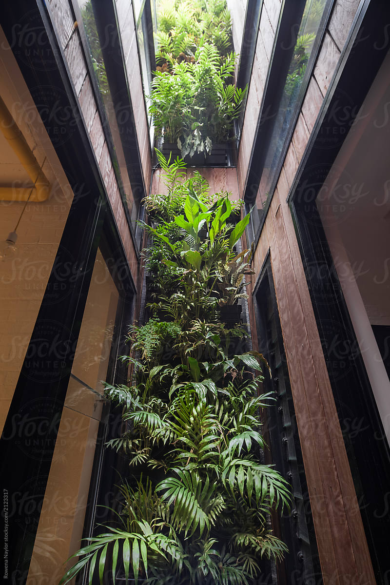 Vertical garden between internal rooms in a loft apartment