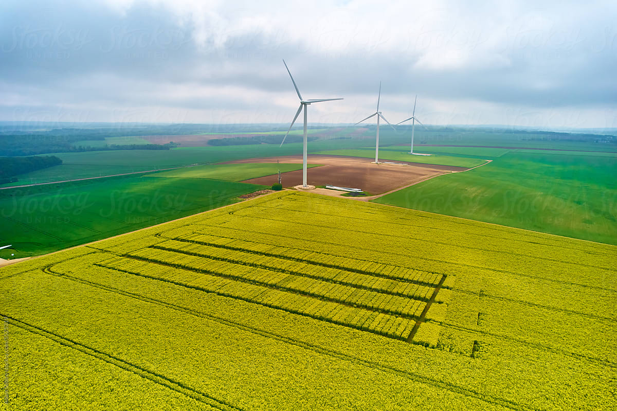 Renewable wind farm & rapeseed crop for biofuel energy transition fuel