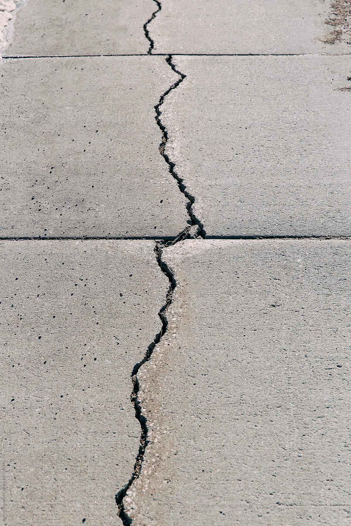 Crack in the Sidewalk
