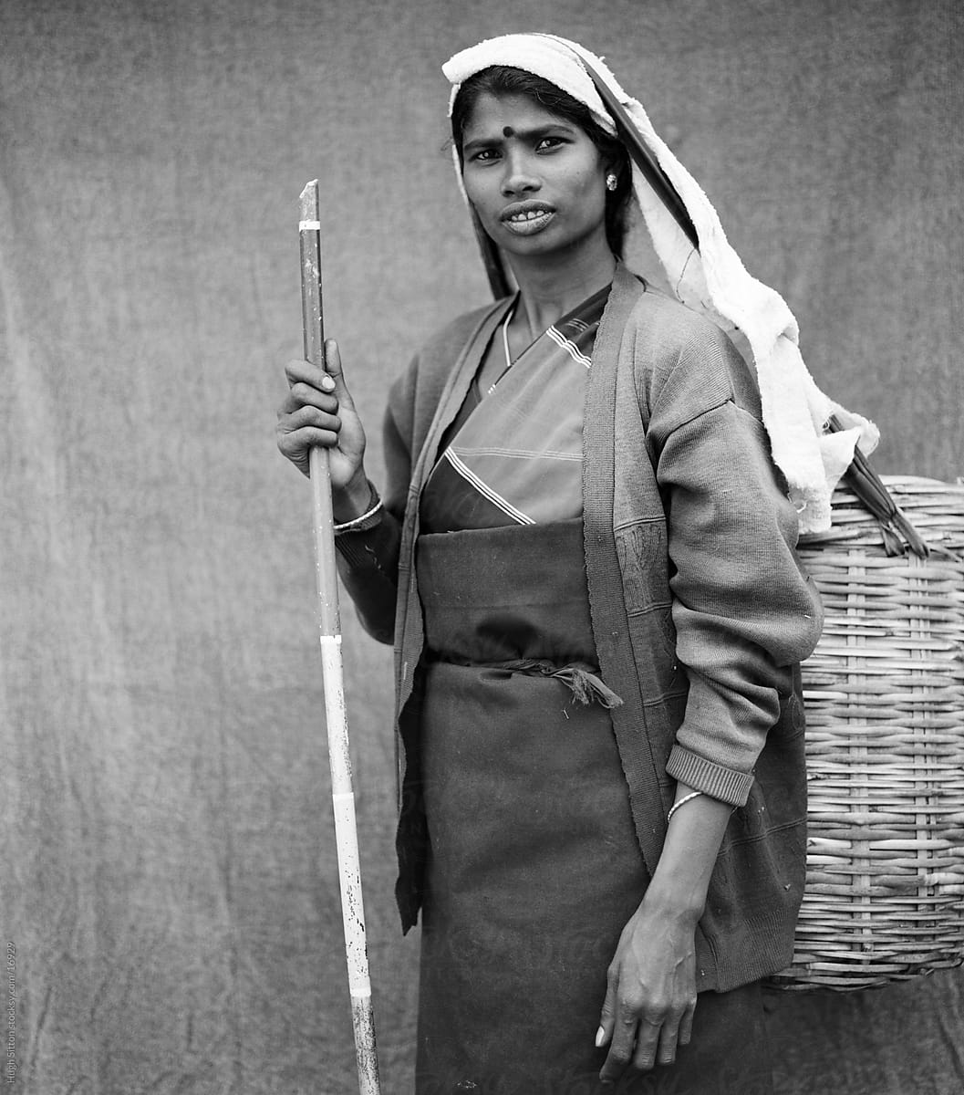 Portrait of tea picker. Sri Lanka