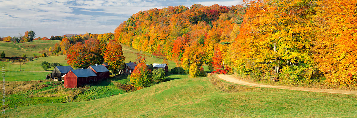 Fall foliage surrounding red barns at Jenne Farm in South Woodstock, Vermont, New England, North America