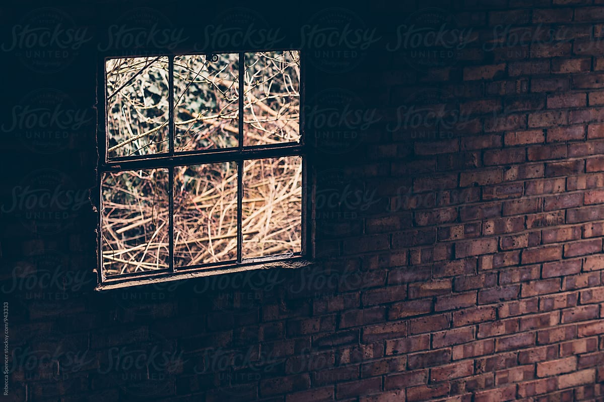 Broken window in a brick wall looking out onto overgrown land
