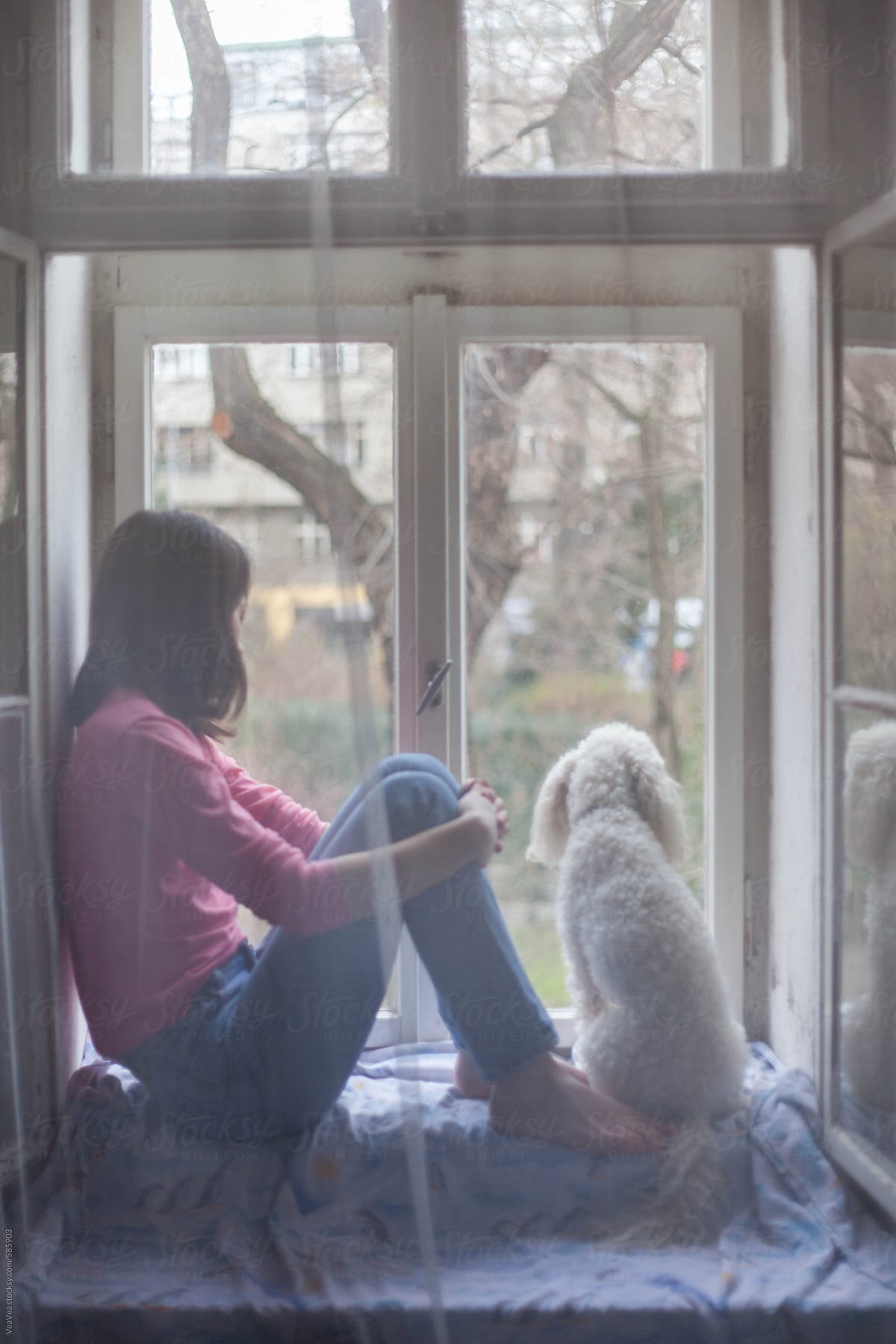 Girl and her white dog sitting on the window behind a curtain