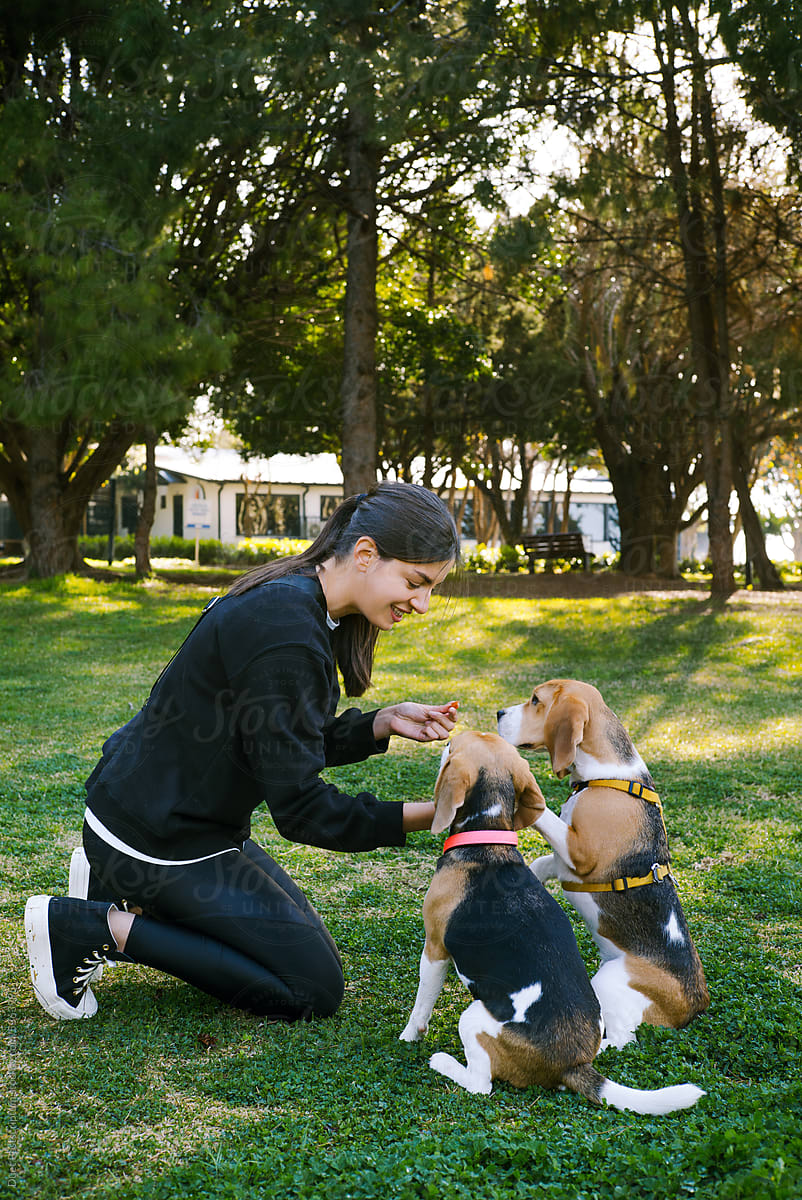 A young woman trains dogs in the park.