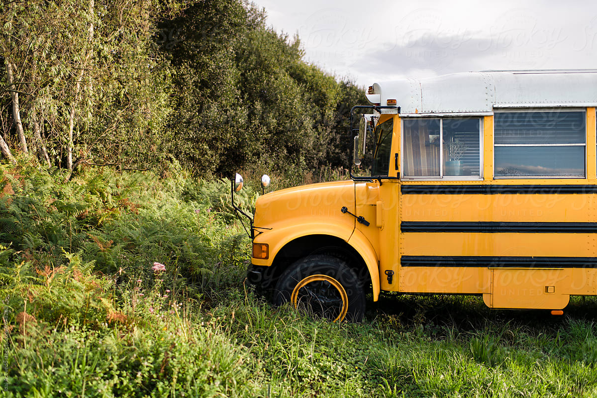 American school bus parked on nature environment