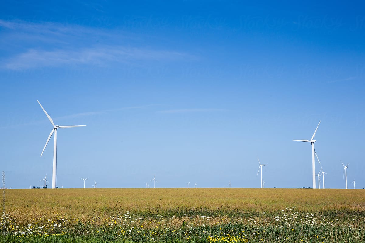 Blue skies, a green field, and windmills