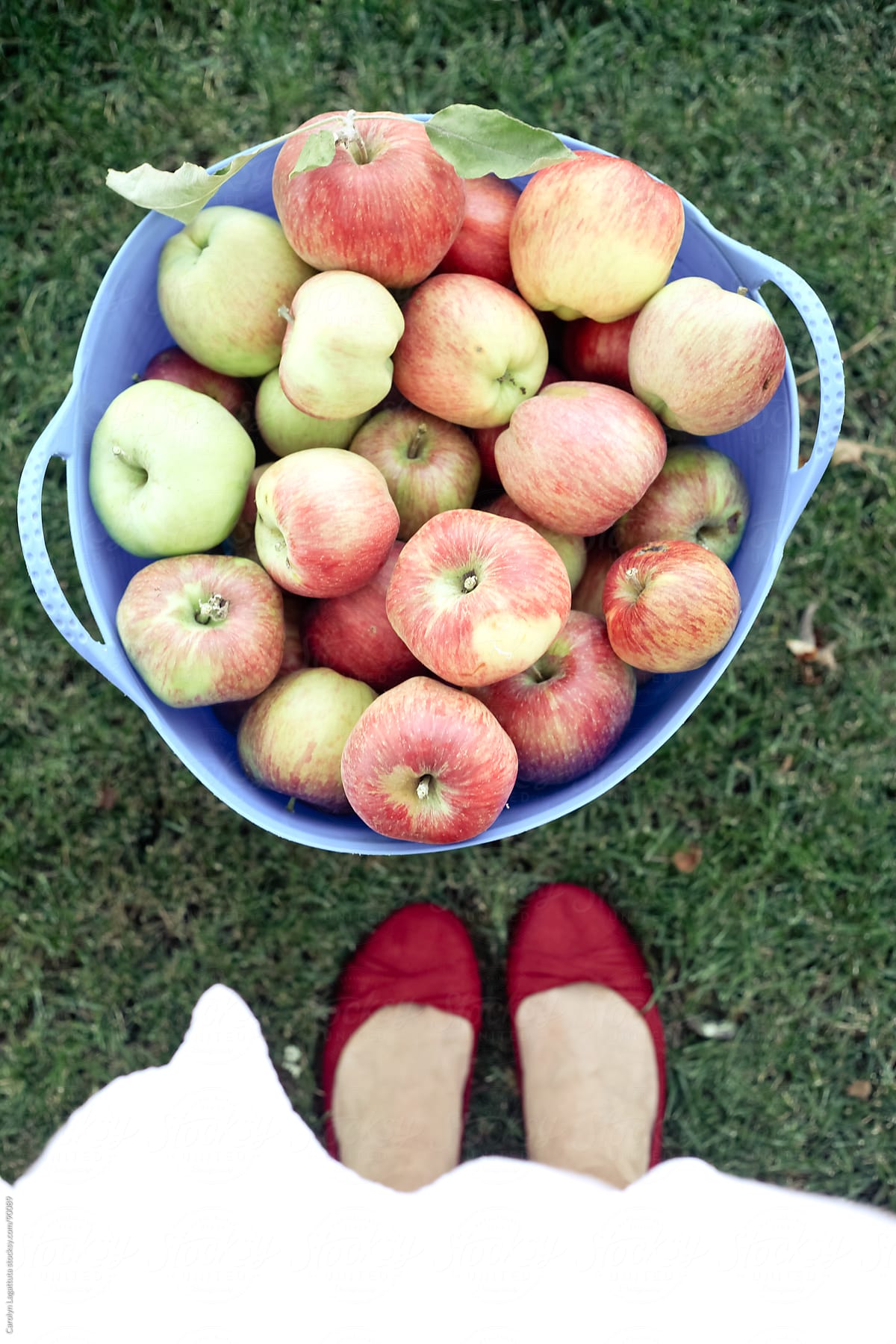 Girl in a white dress and red flats standing above her apple bounty