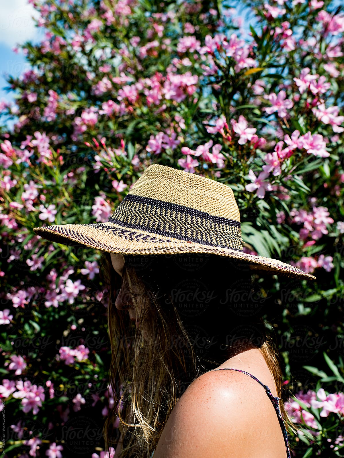 Woman's profile with sunhat and strong shadow in front of pink flower bush