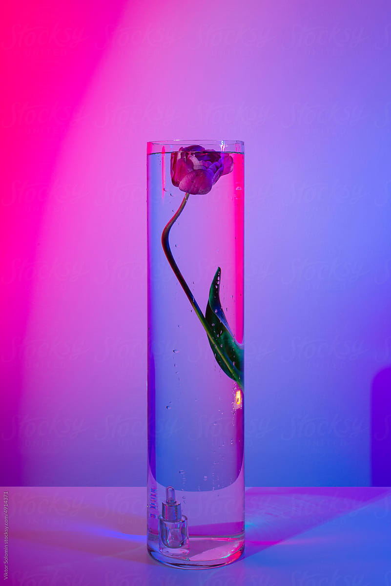 Bottle of essential oil and flower in vessel. Neon light.