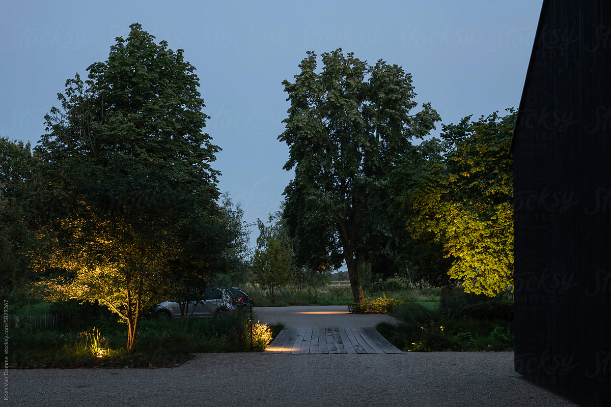 parking and trees at dusk