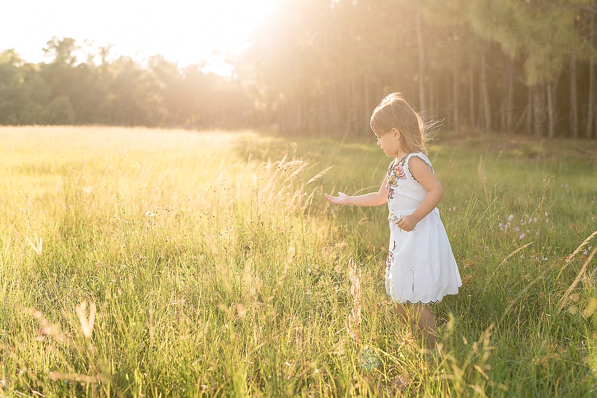 Little Girl Catches A Bug In A Grassy Field