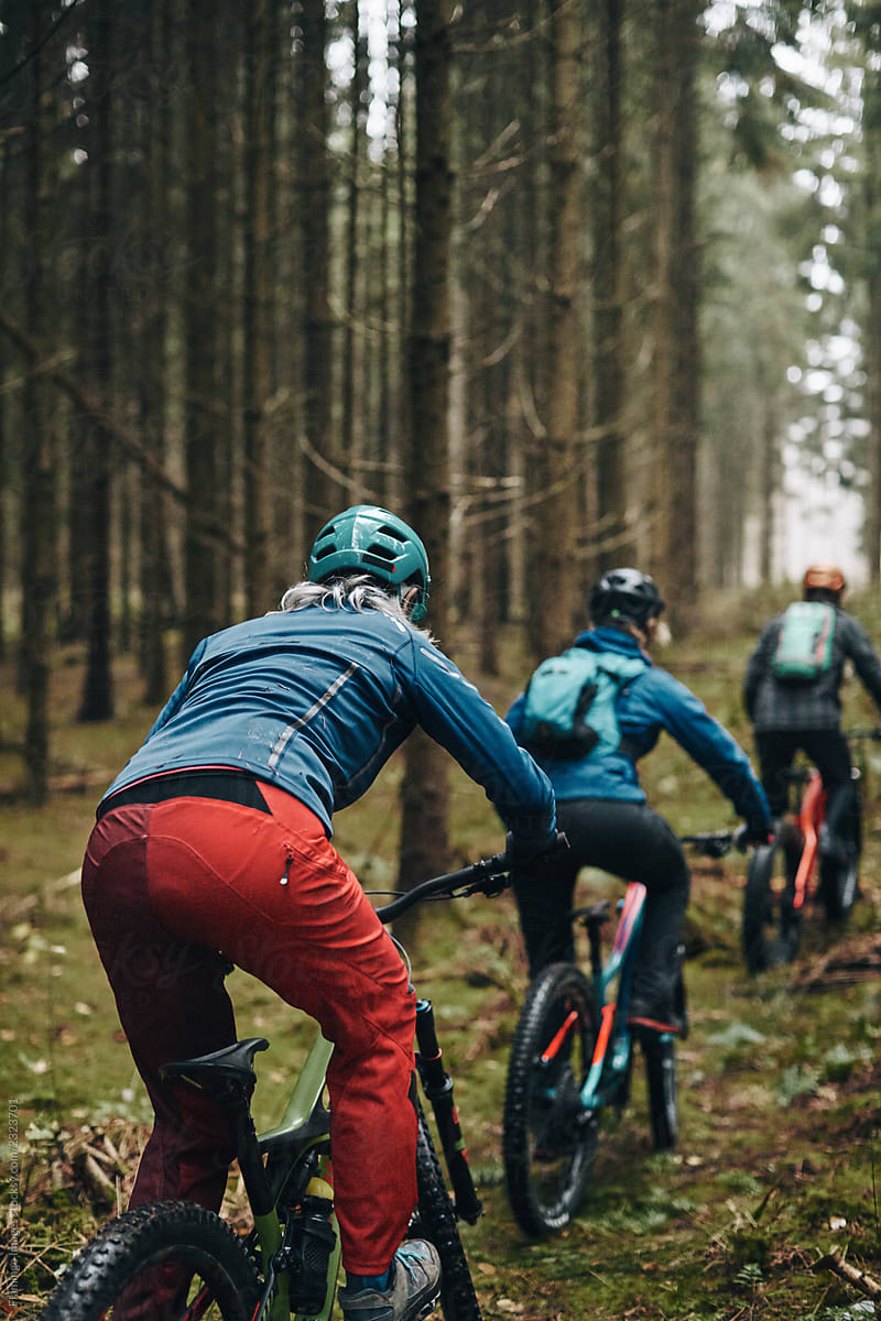 Mountain bikers riding along a rugged forest trail