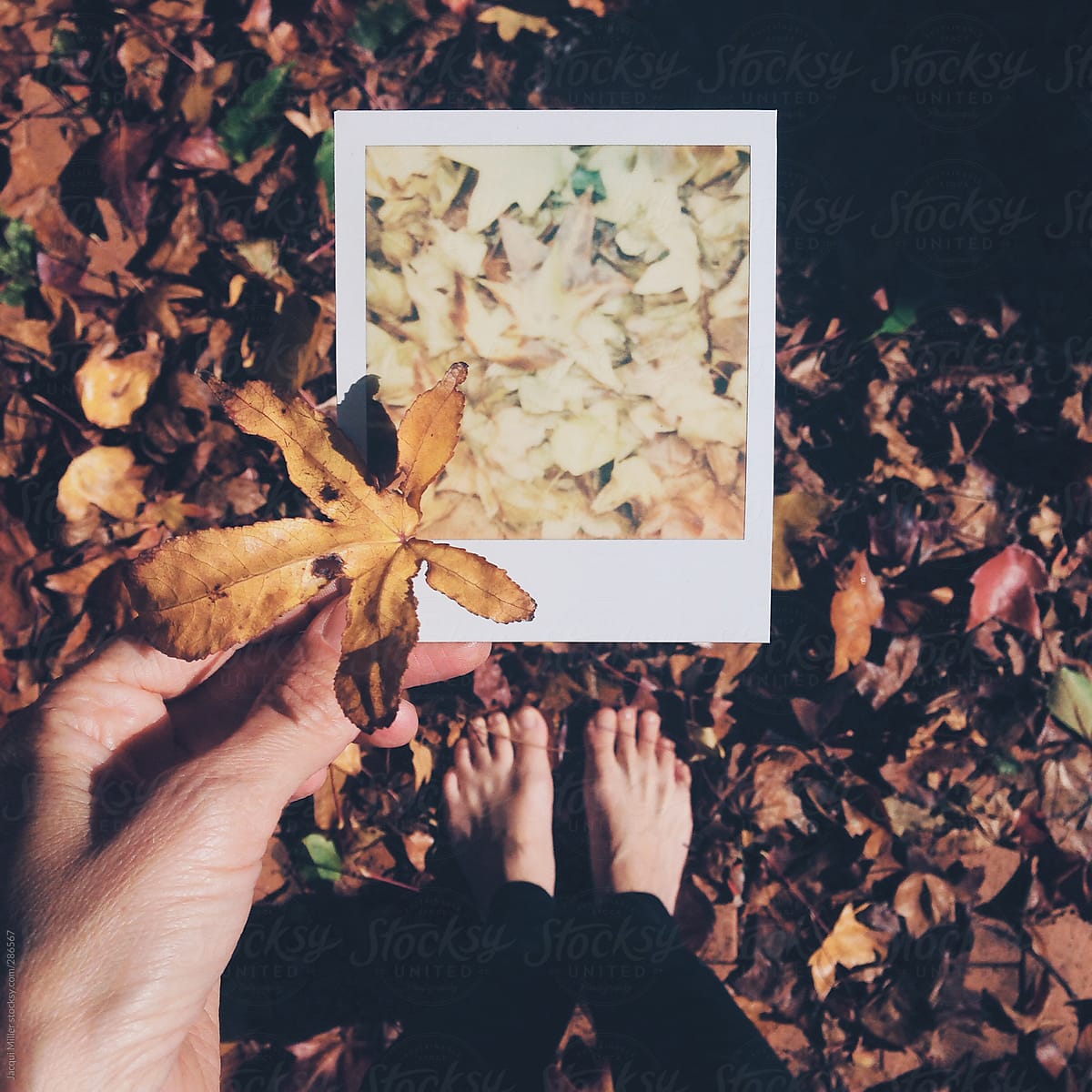 Woman with bare feet holding an autumn leaf and a polaroid of autumn leaves outdoors