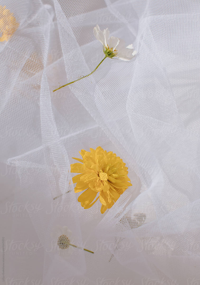 White and yellow flowers in white veil