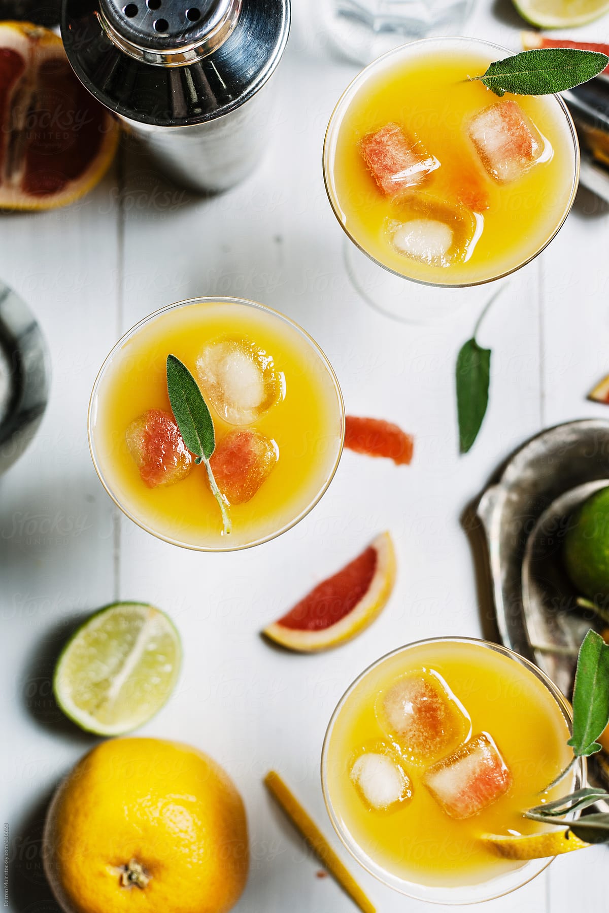 Citrus Cocktails.