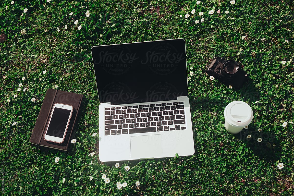 Computer, notebook, phone, coffee, and camera in white flowers with grass