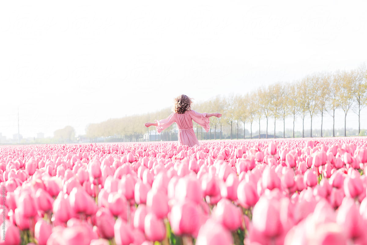 Pink Tulips by Stocksy Contributor Jovana Rikalo