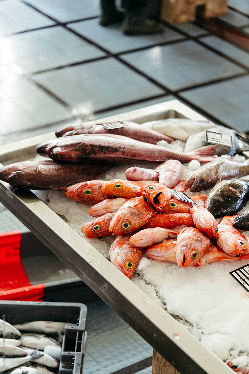 Fish on counter of food market.