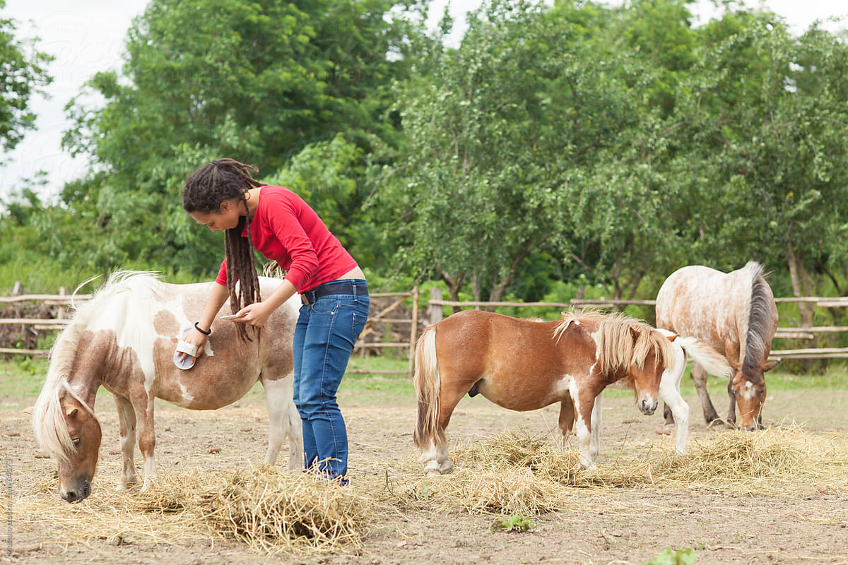 Woman Taking Care Of Farm Animals. by Mosuno - Animal, Farmer