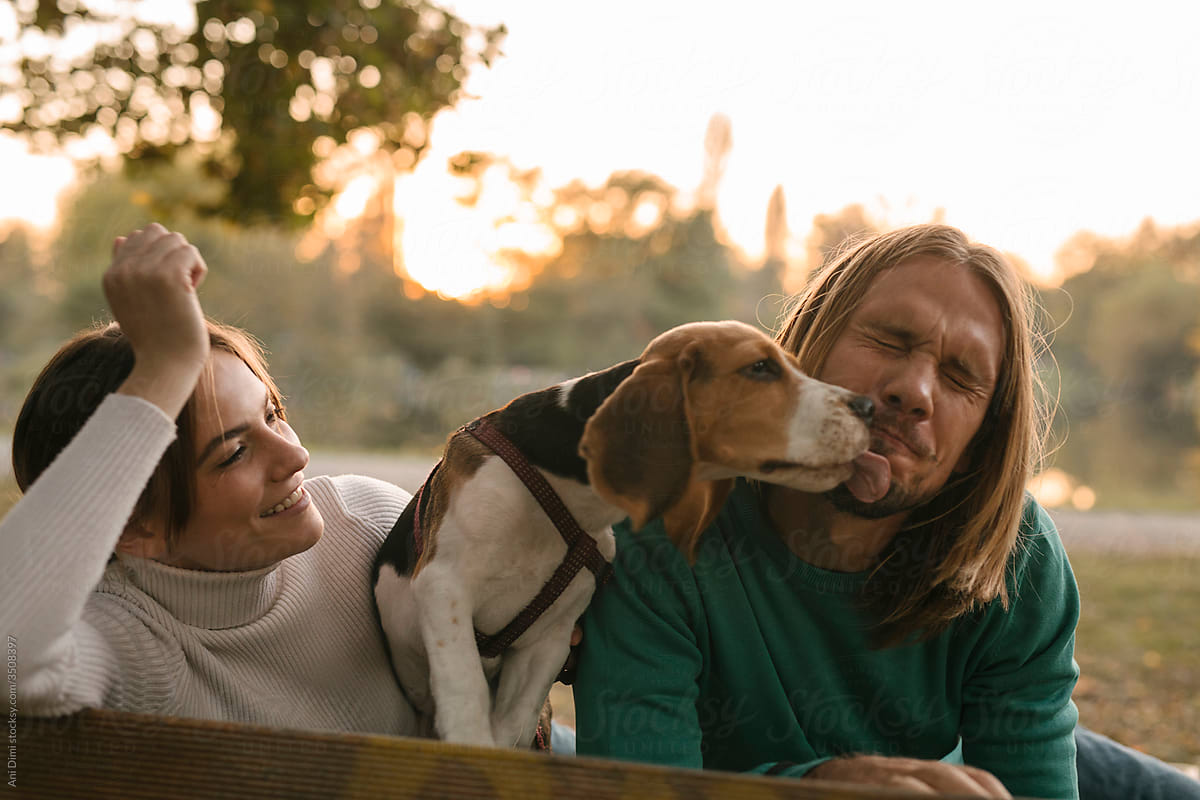 Young Couple With Their Beagle Dog