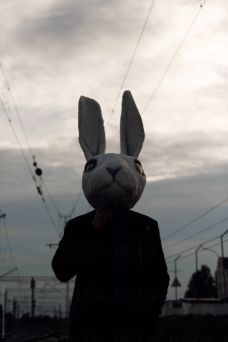 Man in suit and bunny mask on terminal