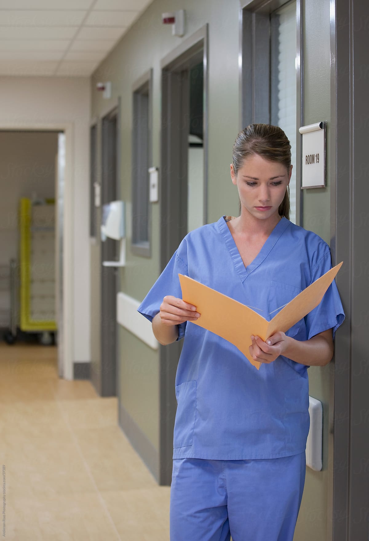 Young female doctor reading file on hospital corridor